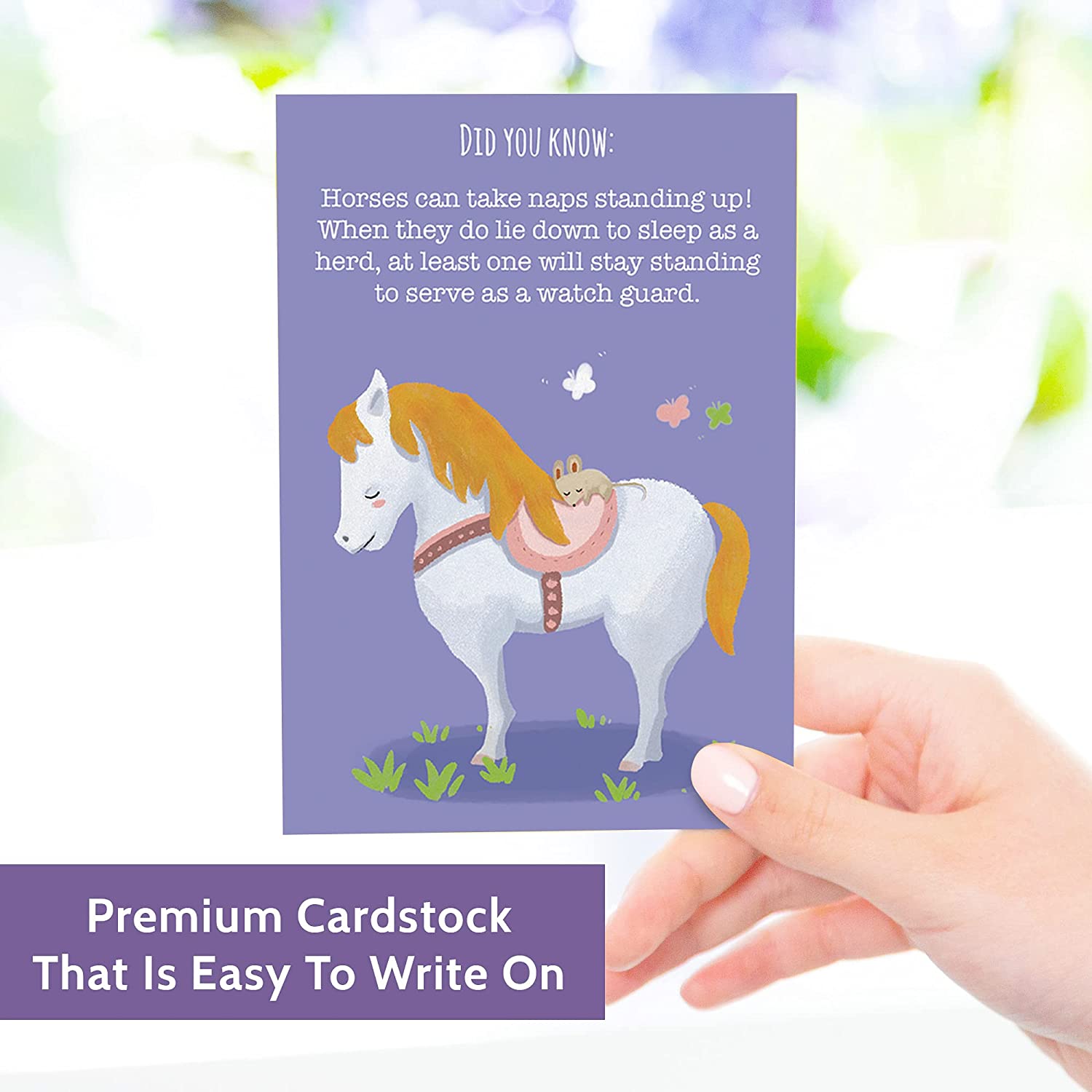 T MARIE 40 Animal Fun Fact Postcards - Bulk Thinking of You Postcard Pack for Kids, Students, Friends, Teacher, and More - Say Hello, Thank You or I Miss You with Colorful Note Cards - Image 6